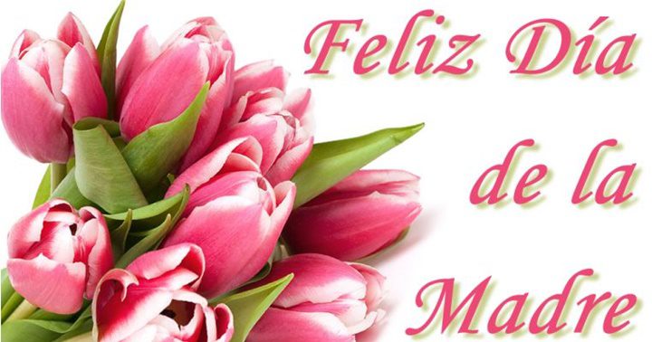 Dia de la Madre 1