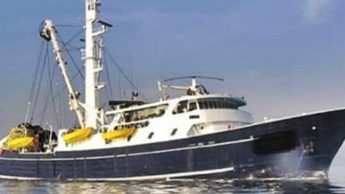 Barco 55 00