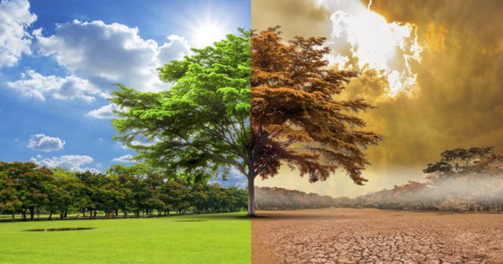 Calentamiento global