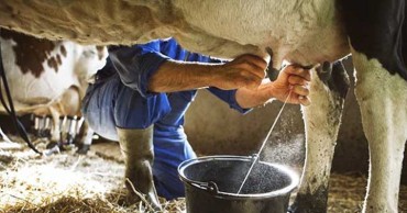 Leche en Venezuela