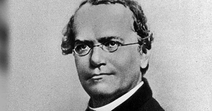 Gregor Mendel, fraile agustino, es considerado el padre de la genética.