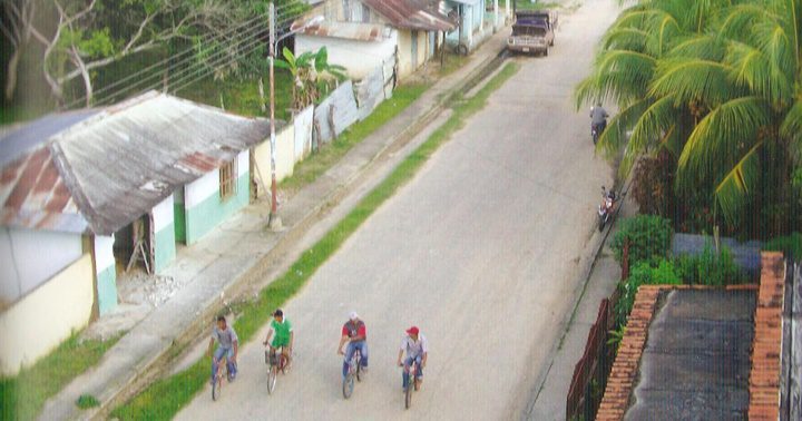 Palmarito en Apure