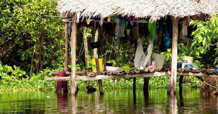 Los indigenas waraos en el Delta Amacuro