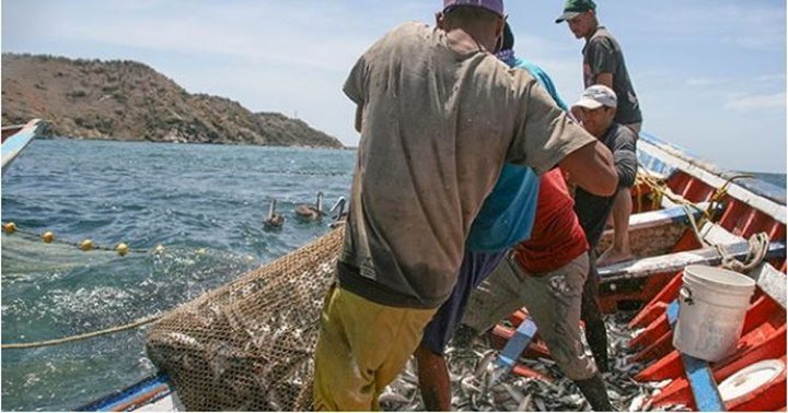 Pescadores en Margarita 2 1