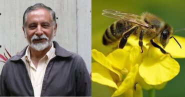 José Gregorio Ochoa "Chegoyo" comenzó una campaña en defensa de las abejas