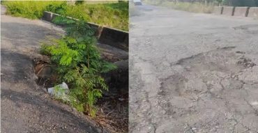 Carretera de Apure