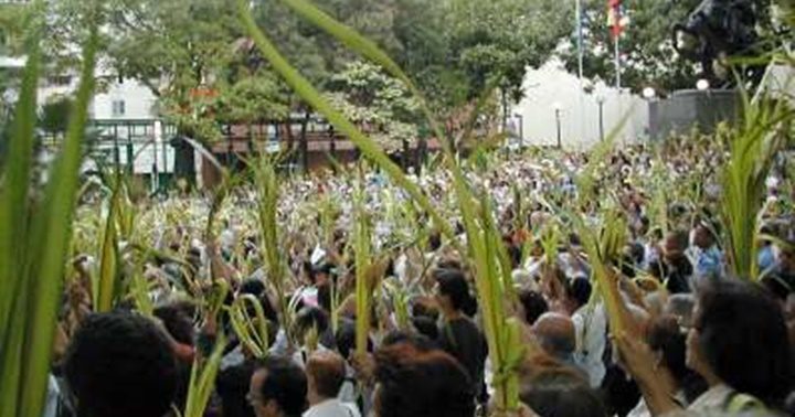 Domingo de Ramos Venezuela 1