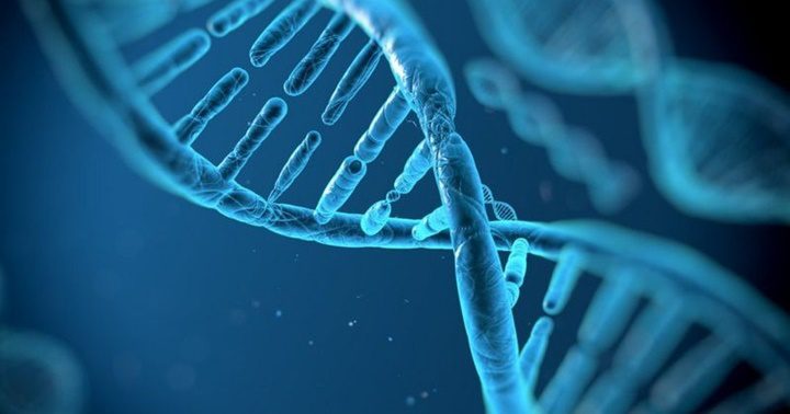 El genoma de los humanos 1