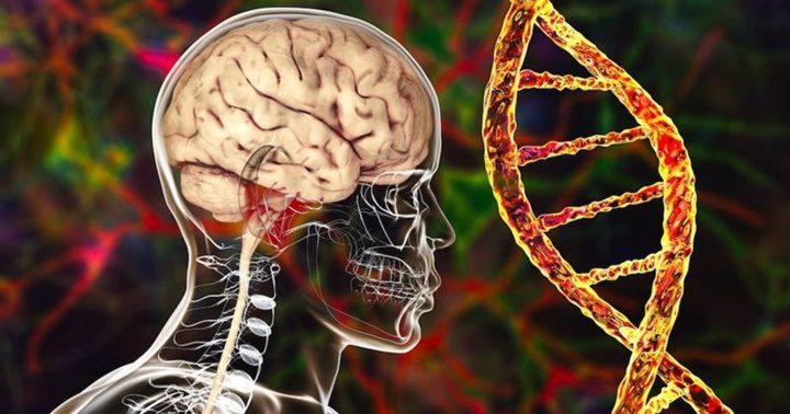 El genoma de los humanos 3