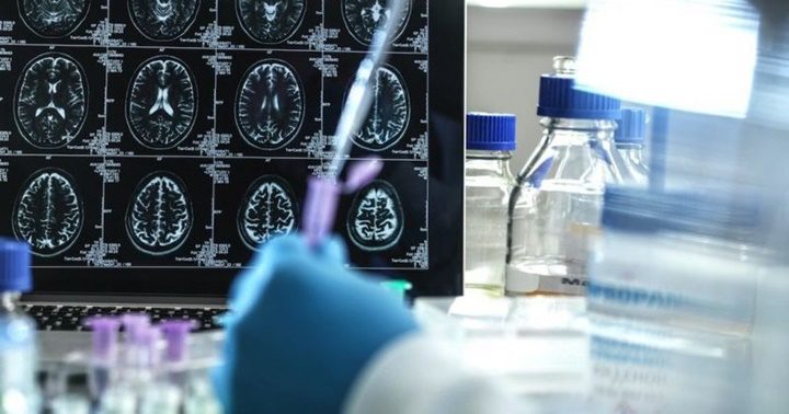 El genoma de los humanos 4