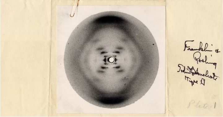 La famosa fotografía 51.