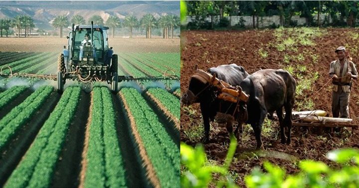 Agricultura en Venezuela 2023