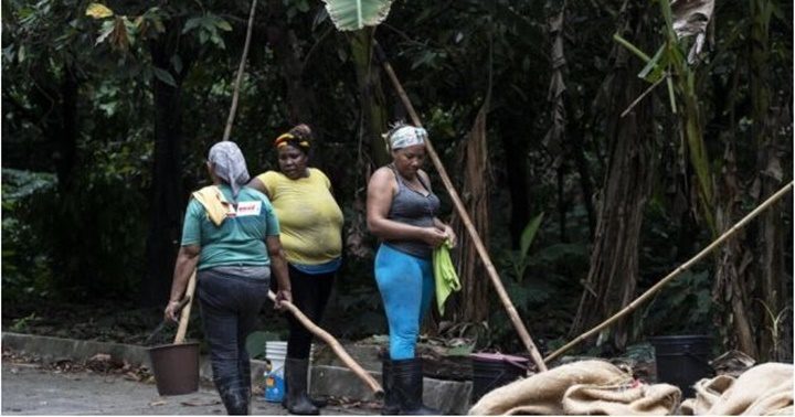 El cacao de Chuao