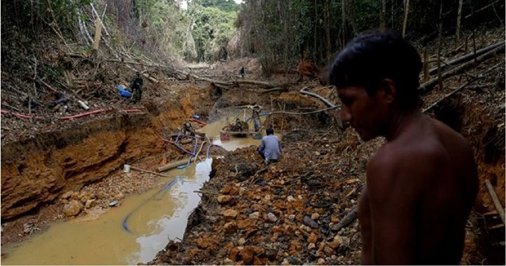 Hallados muertos varios yanomamis en Brasil 2