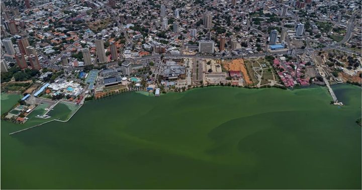 Lago de Maracaibo 1
