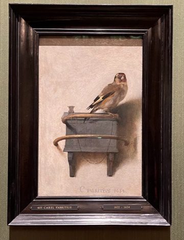 El Jilguero, Carl Fabritius