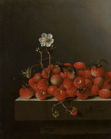 Fresas salvajes