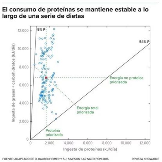Stephen Simpson gráfica