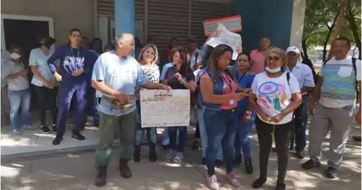 Falcón maestros 15 1 2024