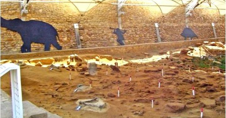 Museo Taima Taima 1