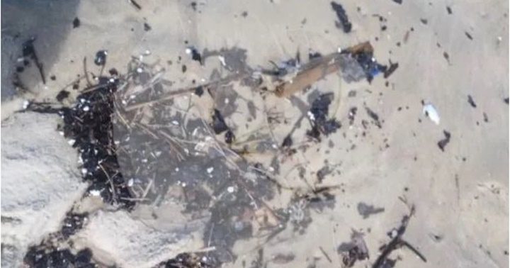 Playas de Choroní 2 1 2023 2