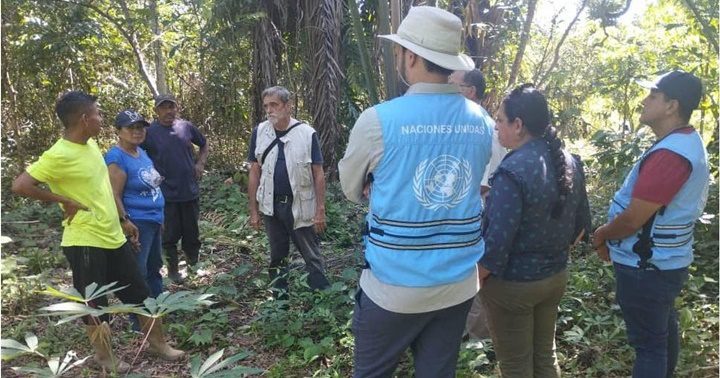 Tierra Viva en Atures Amazonas 1