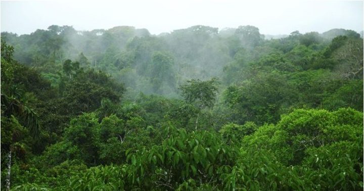 Tierra de Amazonas 4