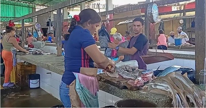Vendedoras pescado mercado de Carúpano 1
