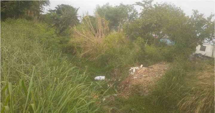 Canales de Prados del Este La Villa Barinas 1