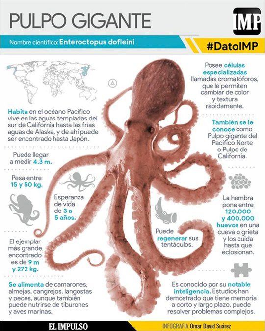 El Pulpo gigante