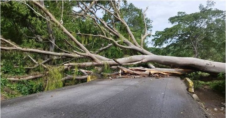 Lluvias Cumanancoa 2 7 2024 2