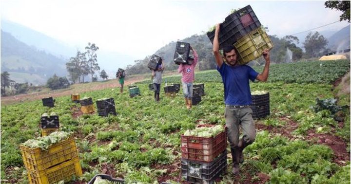 Agricultores del Táchira Agricultores del Táchira