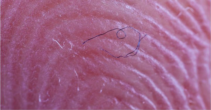 Los microplásticos 1