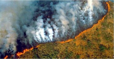 Incendio Amazonas Brasil