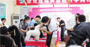Mascotas en China
