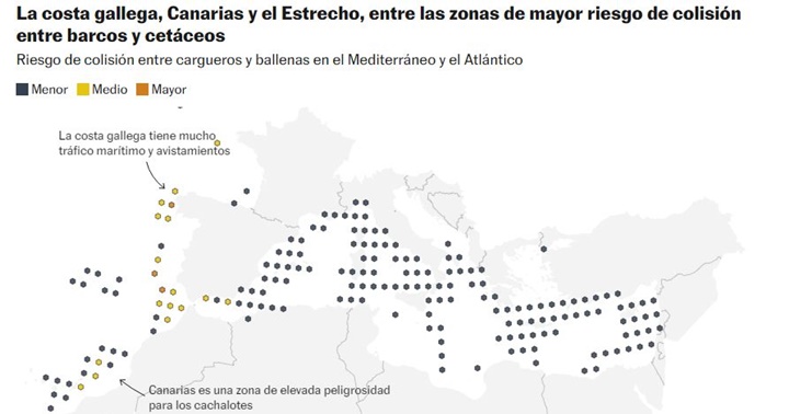 Puntos de ballenas