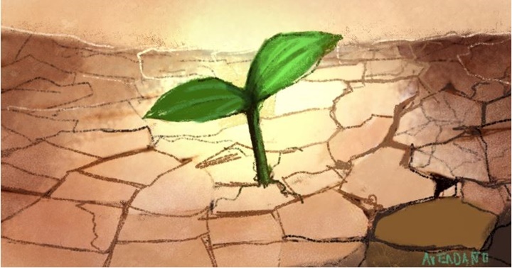 Juan Diego Avendaño 4 12 2024