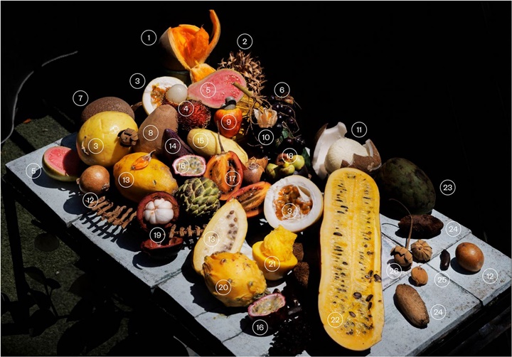 Frutas Colombia