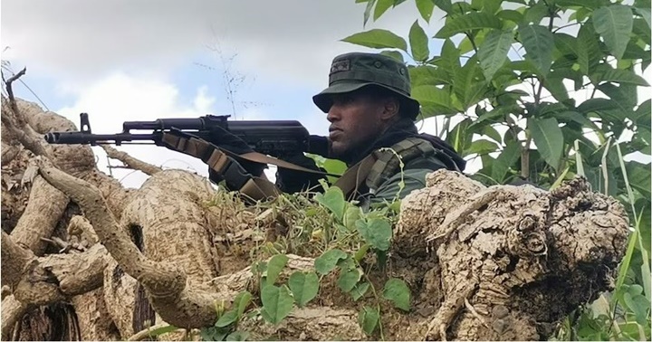 Ejército de Venezuela