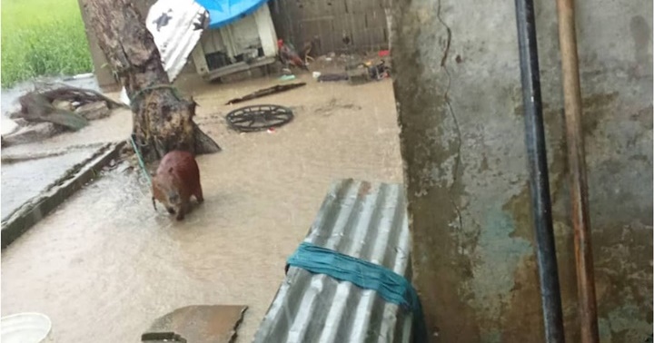 Doña Menca de La Orchila de Tucupita 1