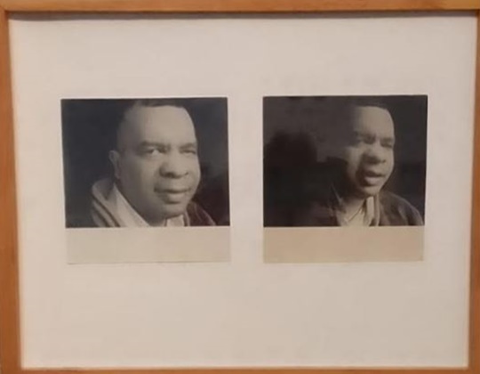 Tulio Márquez un artista