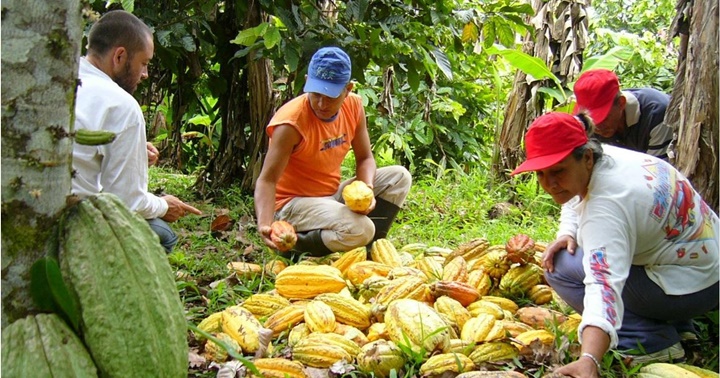 Agricultores Sucre