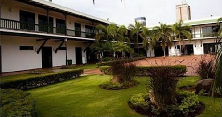 Oficina de Gustavo Coronel