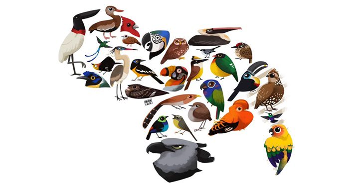 Aves en Venezuela Aves en Venezuela