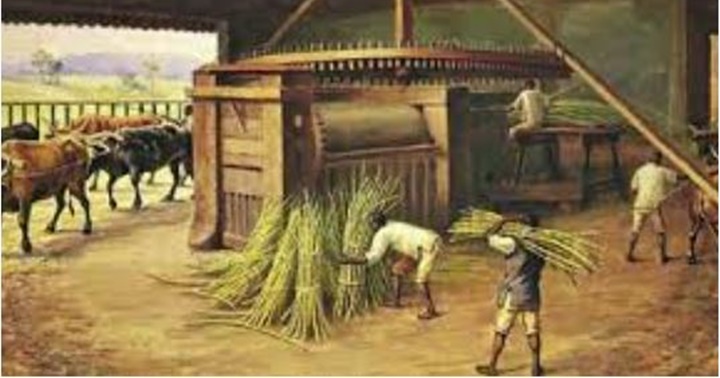 Aguardiente colonia Venezuela