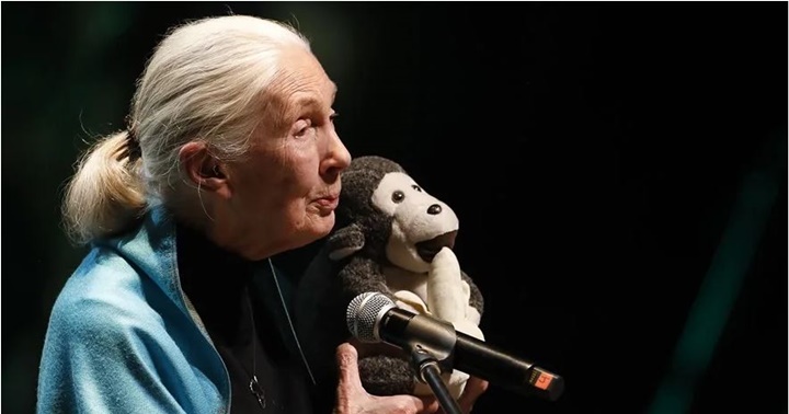 Jane Goodall 2