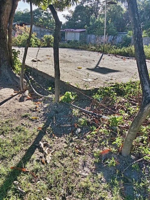 Sin rancho ni vivienda 1