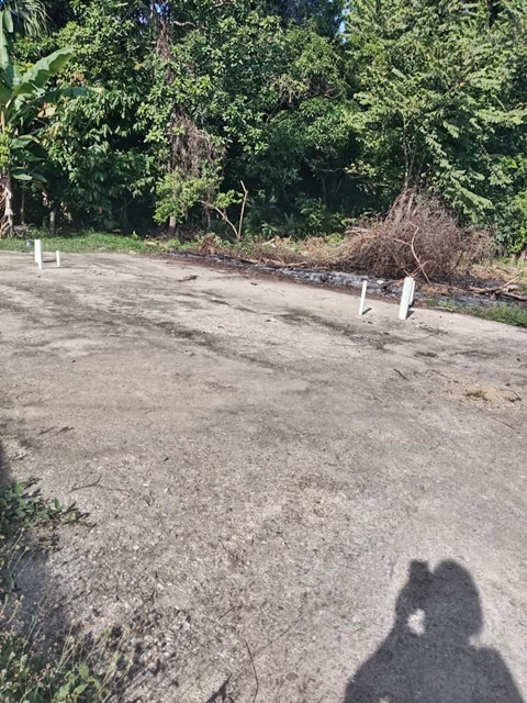 Sin rancho ni vivienda 2