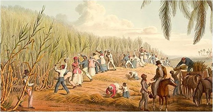 Agricultura venezolana colonial