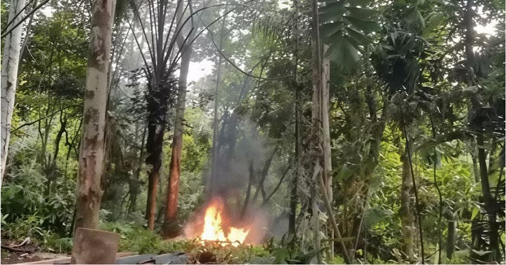 Militares operación neblina venezuela